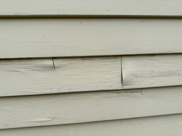 Reliable Nixon, TX Siding Solutions